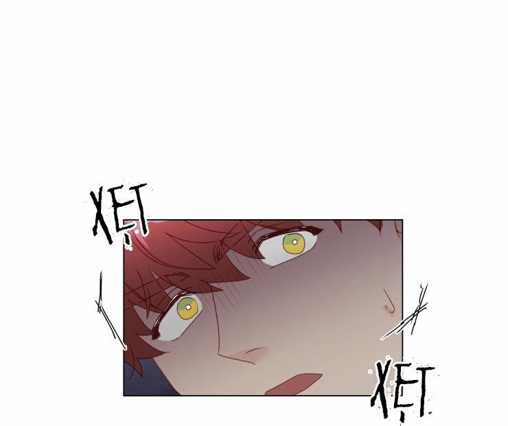 S của thần linh hay S của sự bạo dâm ? 15 trang 12