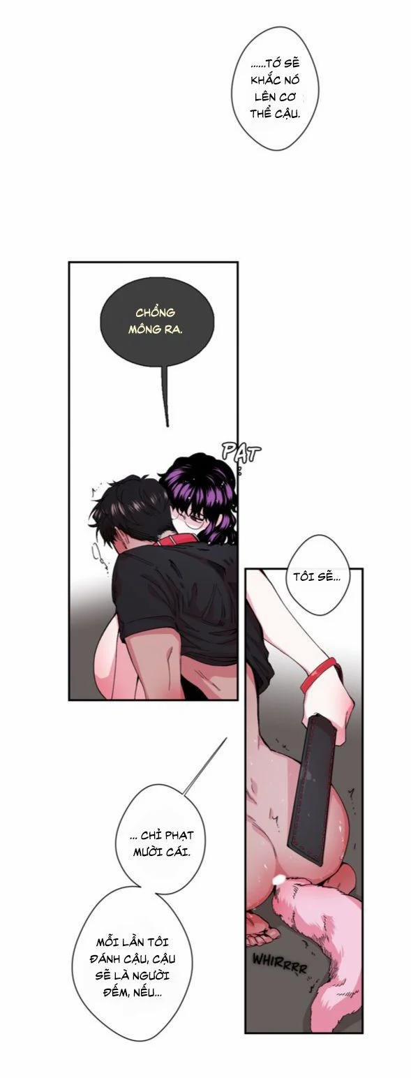 S_Flower 12.1 trang 7