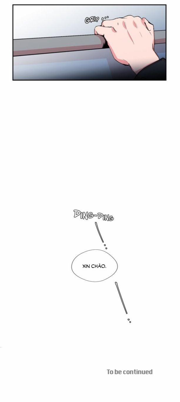 S_Flower 13.2 trang 19