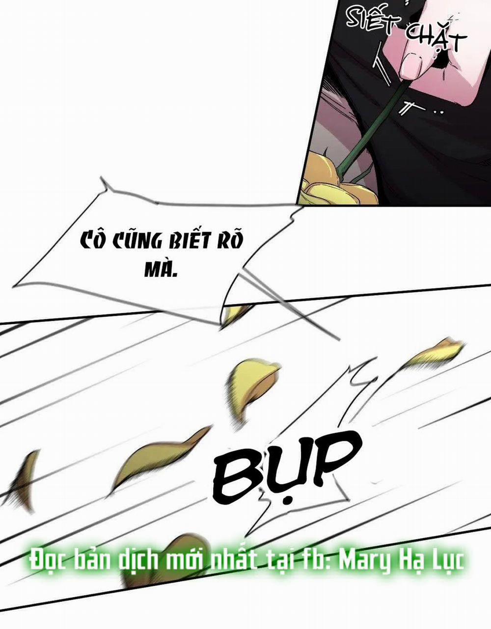 S_Flower 33.1 trang 35