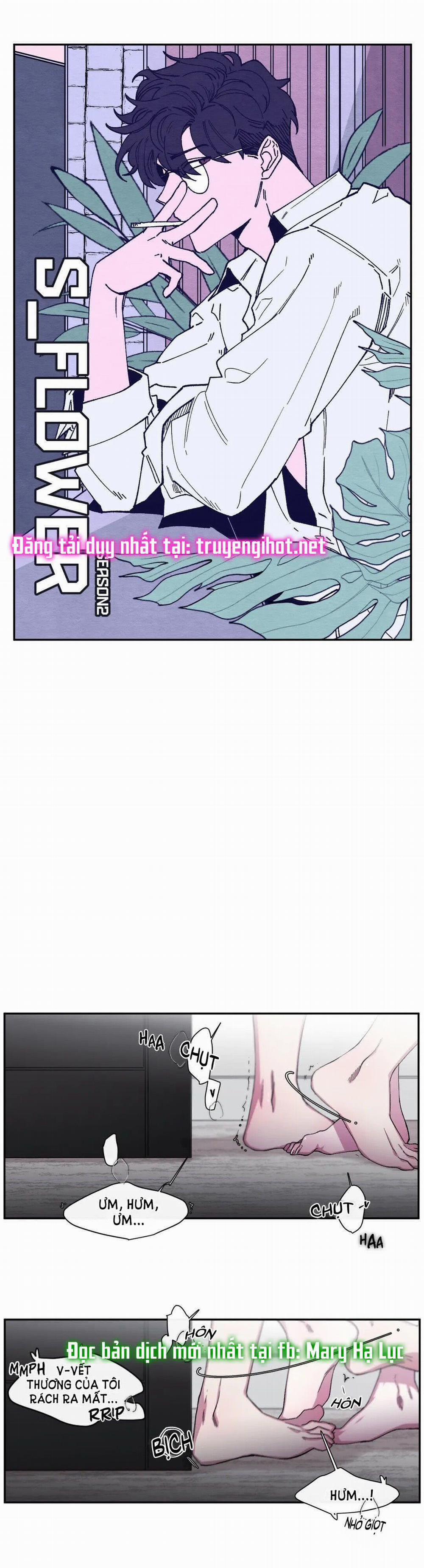 S_Flower 35.1 trang 5