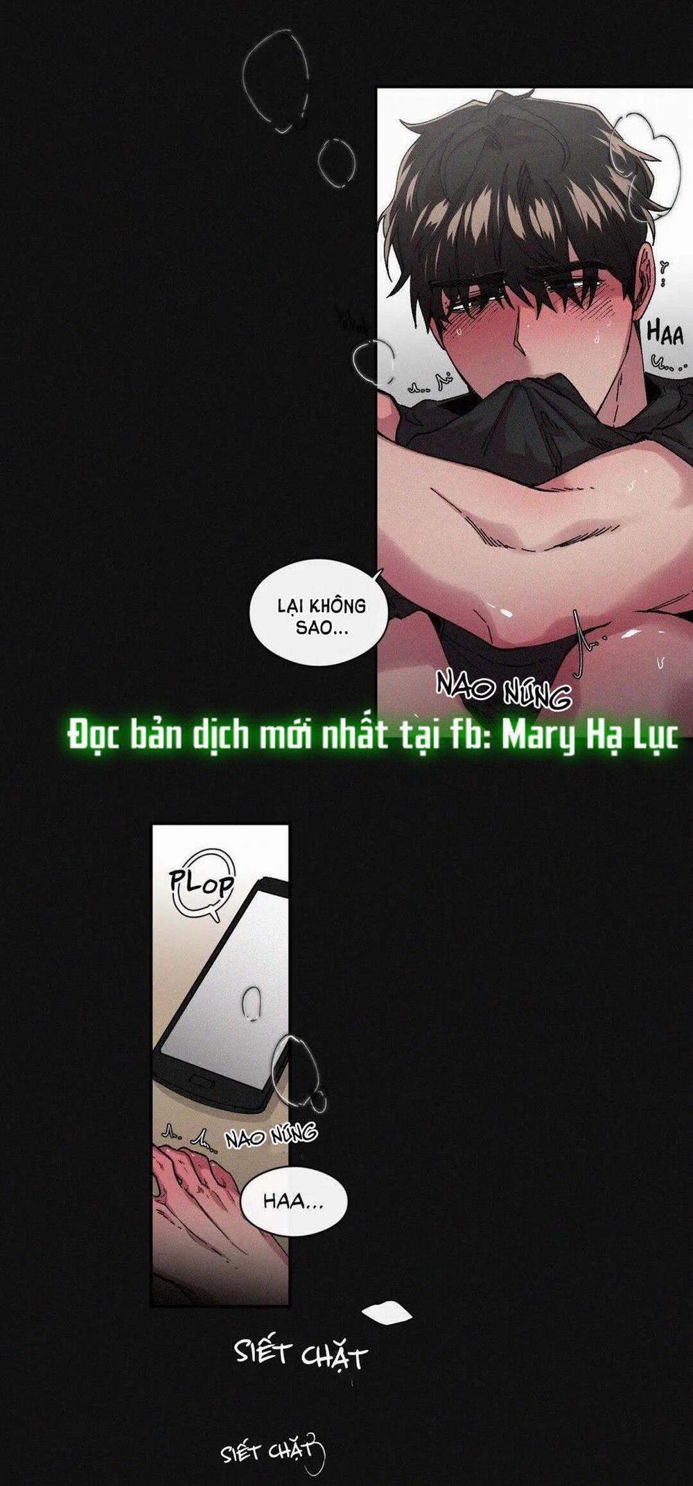 S_Flower 38.1 trang 3