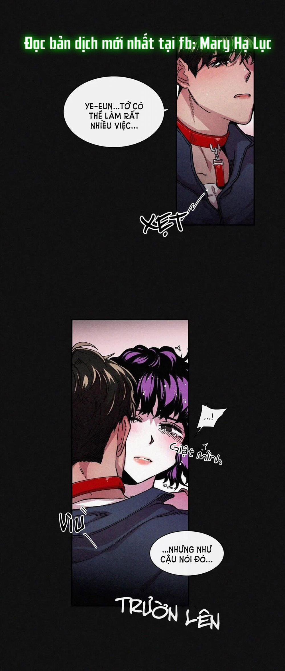 S_Flower 38.2 trang 18