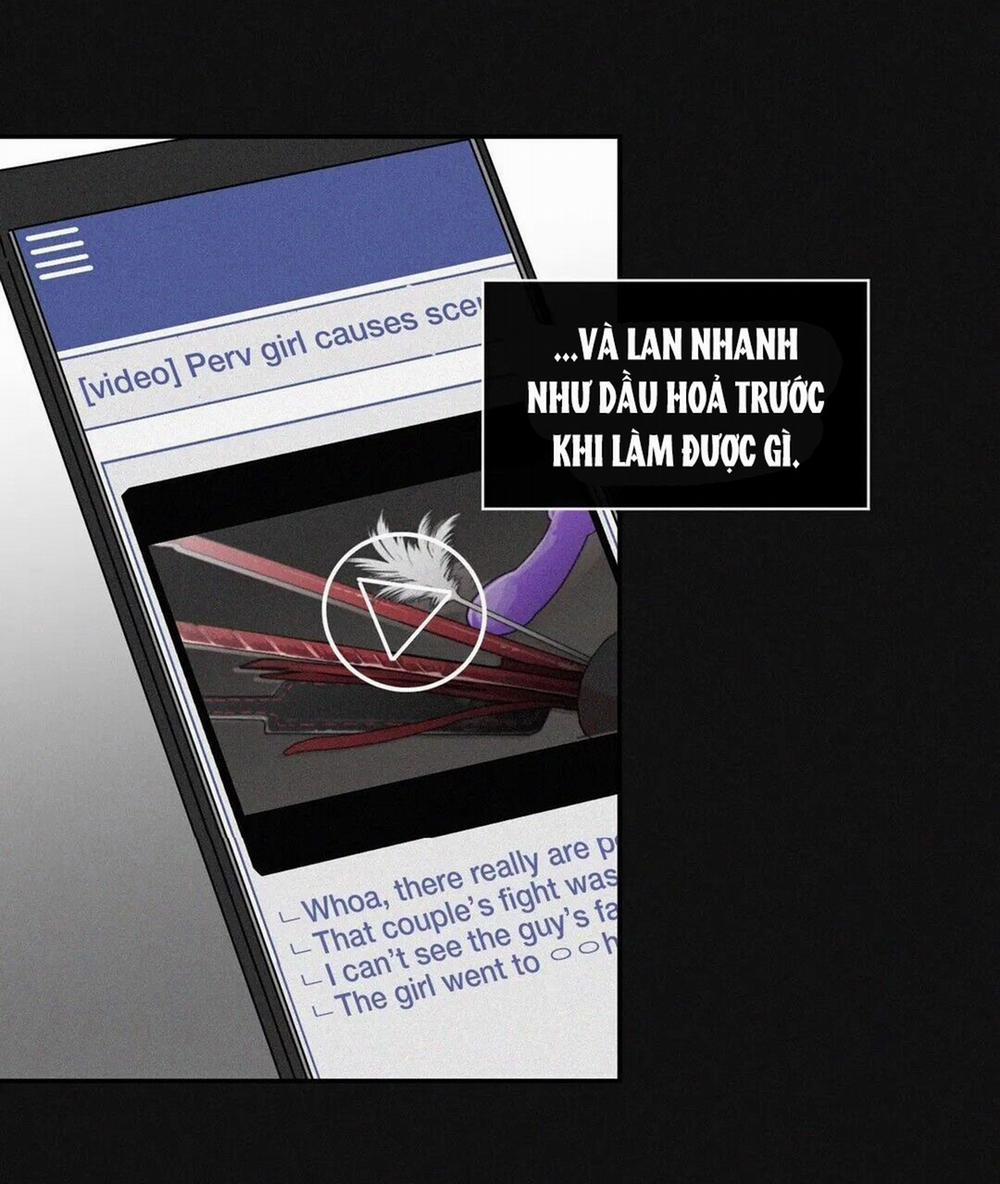 S_Flower 40.2 trang 8