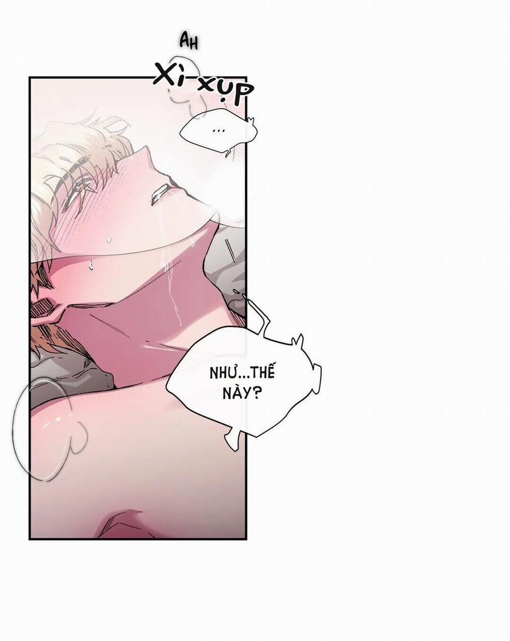 S_Flower 41.1 trang 33