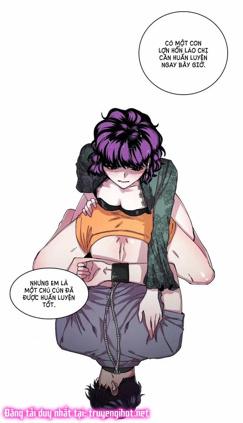 S_Flower 51.5 trang 28