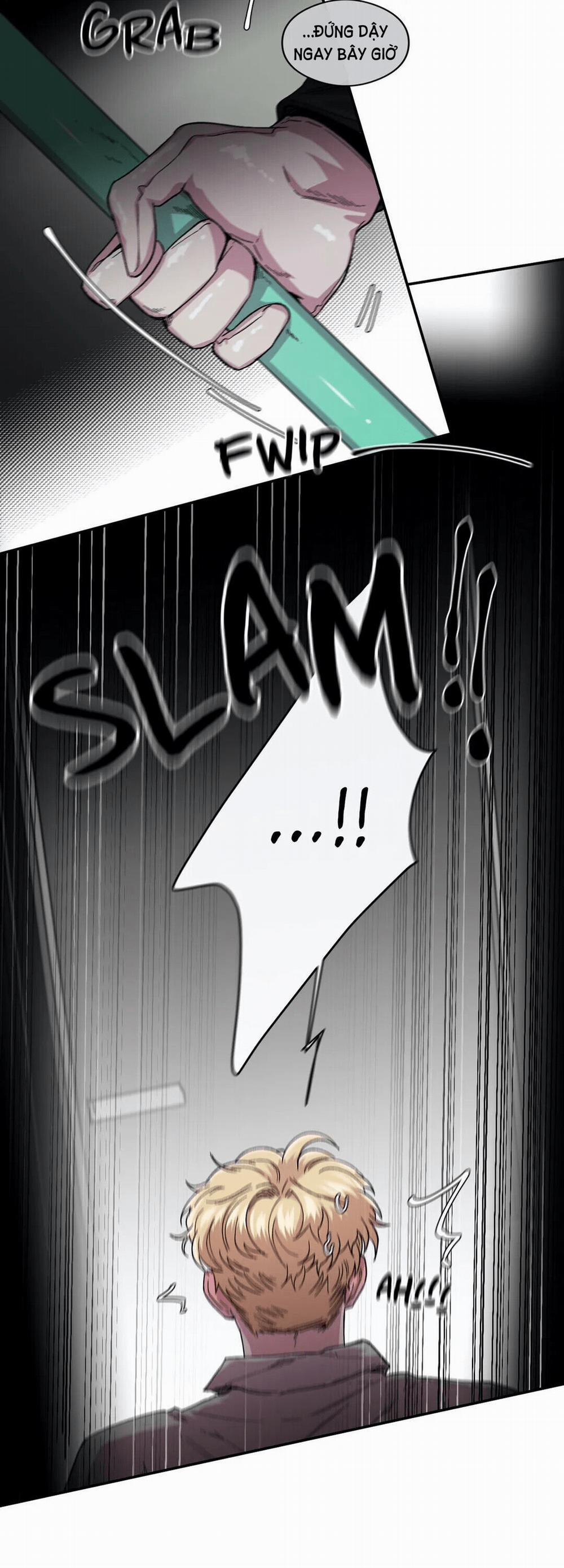 S_Flower 53.2 trang 17