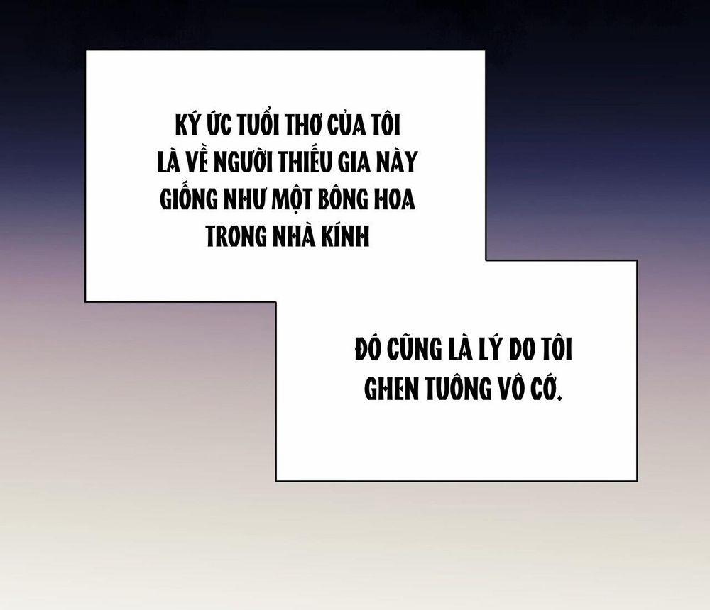 Sa Mạc Ẩm Thấp 15 trang 46