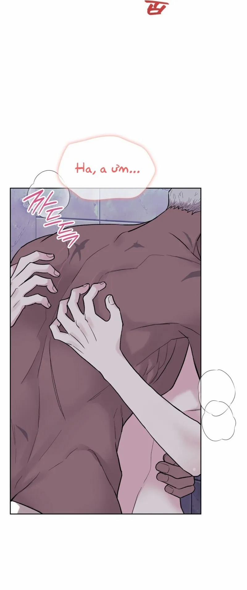 Sa Mạc Ẩm Thấp 19 trang 11