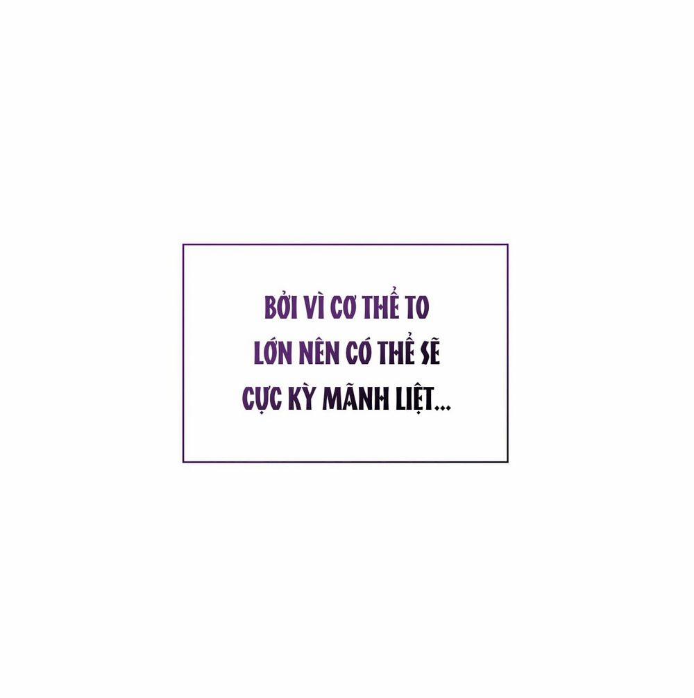 Sa Mạc Ẩm Thấp 3 trang 47