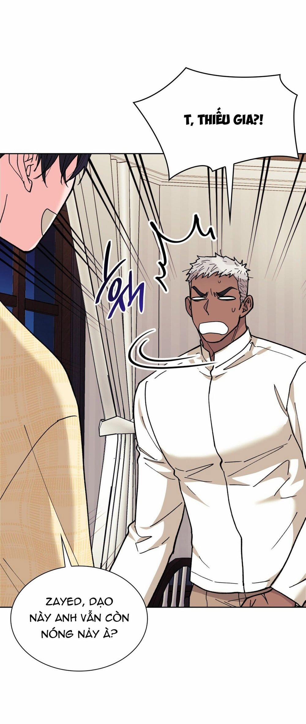 Sa Mạc Ẩm Thấp 6 trang 25