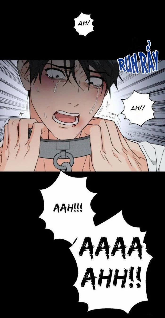 Sadistic Beauty Bl Sidestory 3.1 trang 11