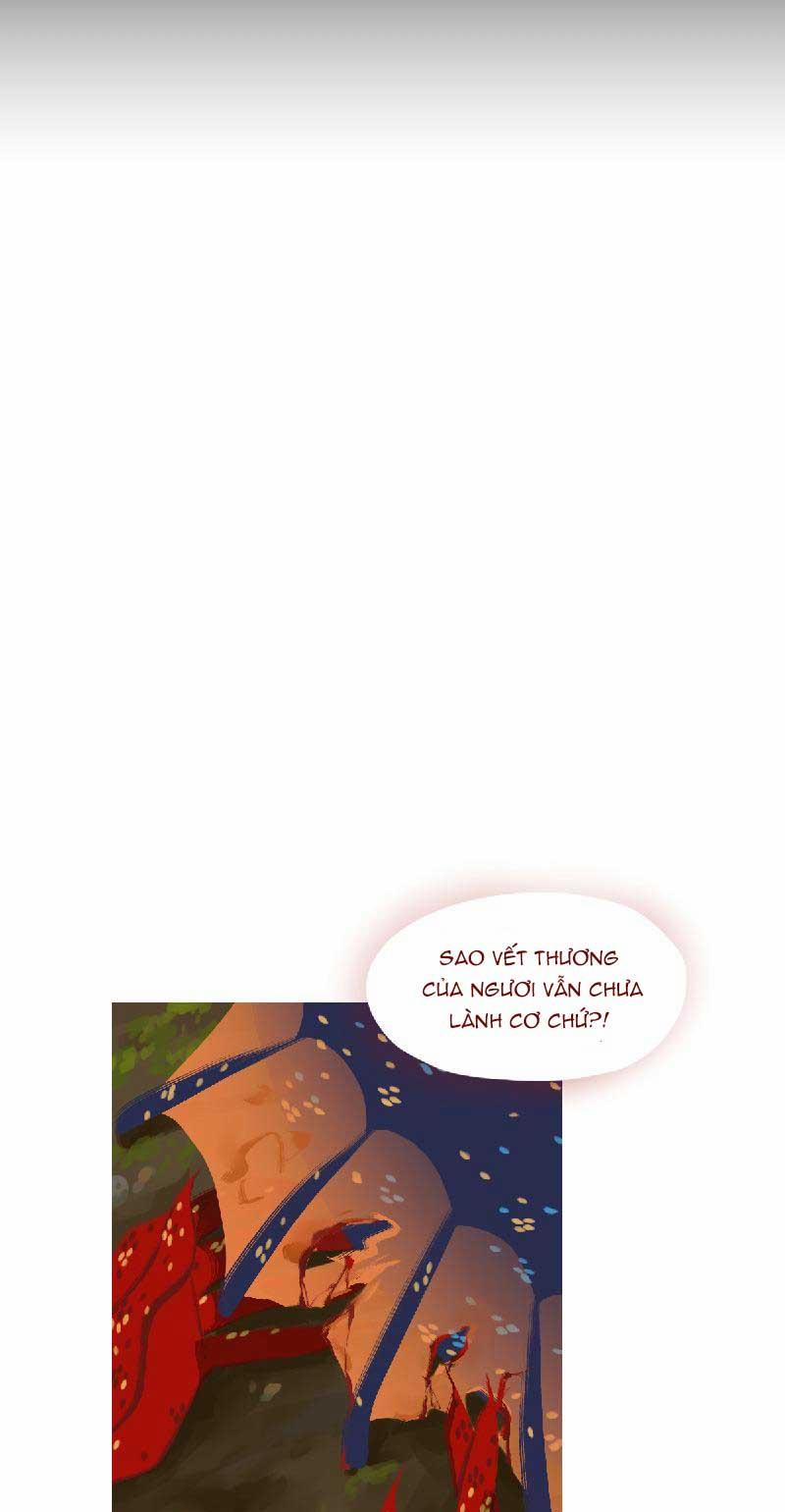 Sải Dài Cứu Rỗi 30 trang 1