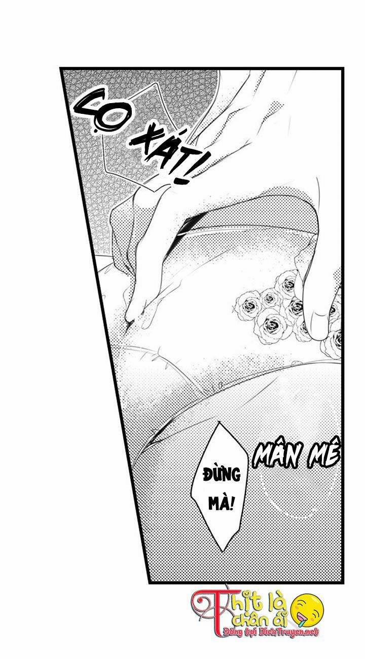 Sai Rồi, Sếp Tây Nhà Tôi Không Phải Là Quý Ông Đâu! 3 trang 5