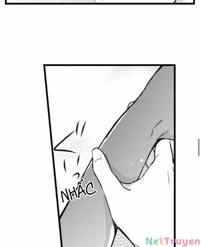 Sai Rồi, Sếp Tây Nhà Tôi Không Phải Là Quý Ông Đâu! 67 trang 11