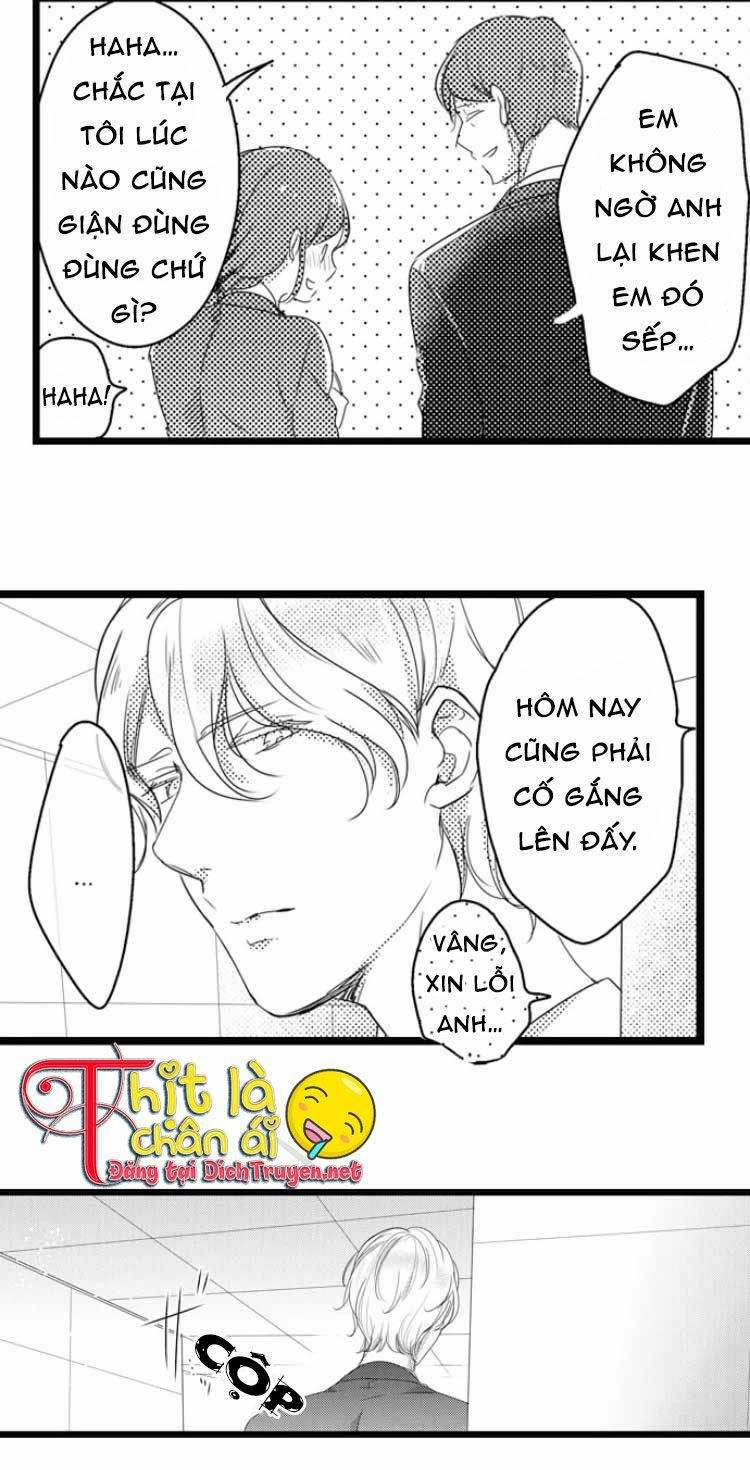 Sai Rồi, Sếp Tây Nhà Tôi Không Phải Là Quý Ông Đâu! 8 trang 21