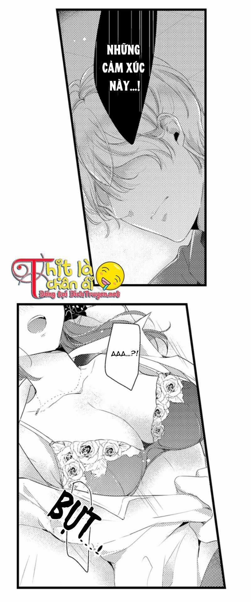 Sai Rồi, Sếp Tây Nhà Tôi Không Phải Là Quý Ông Đâu! 9 trang 13