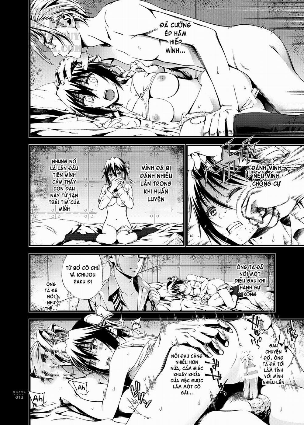 Sakimidare! (Nisekoi) Chương Oneshot Trang 14