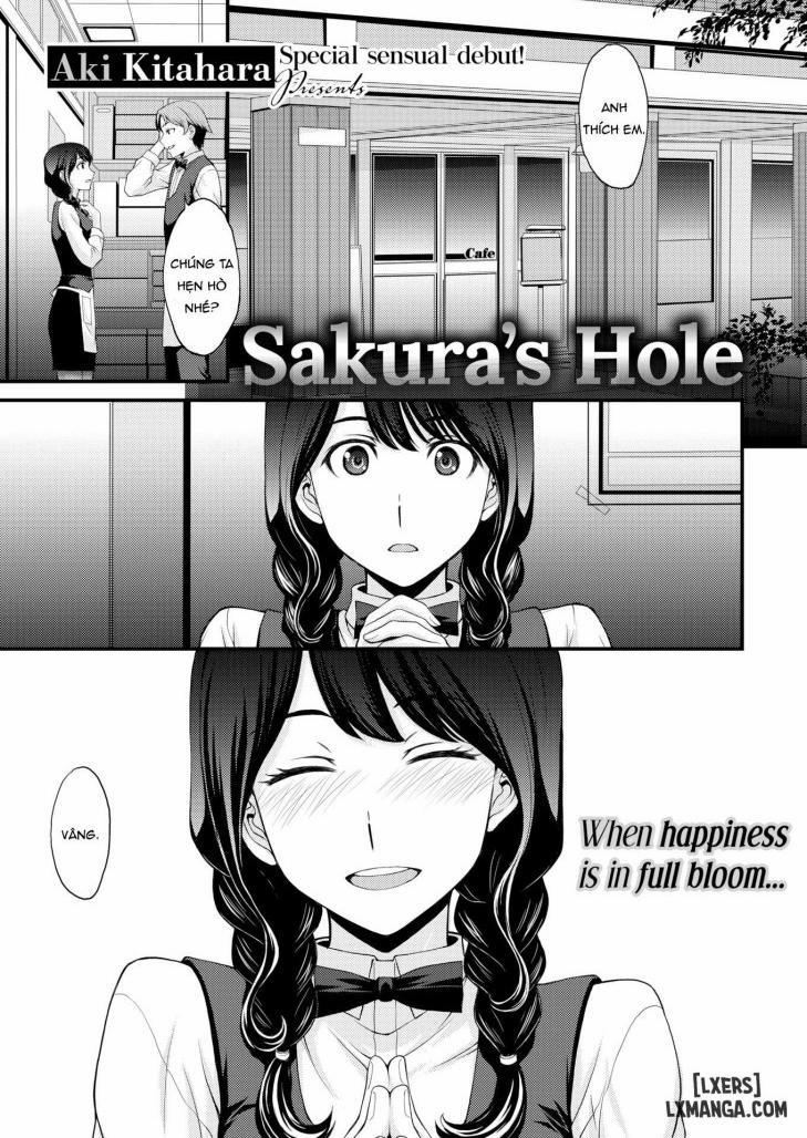 Sakura's Hole 1 trang 0