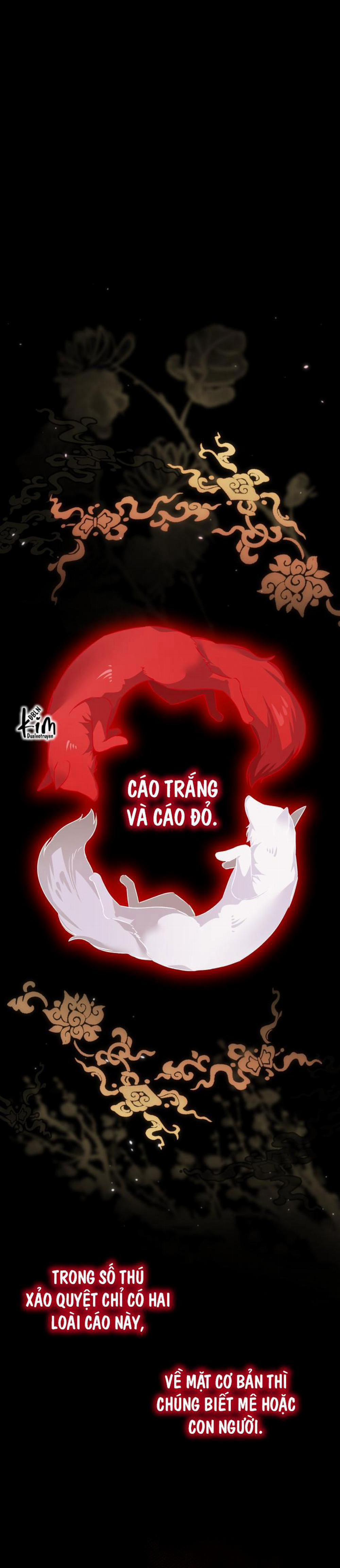 SĂN CÁO Chương 2 Trang 1