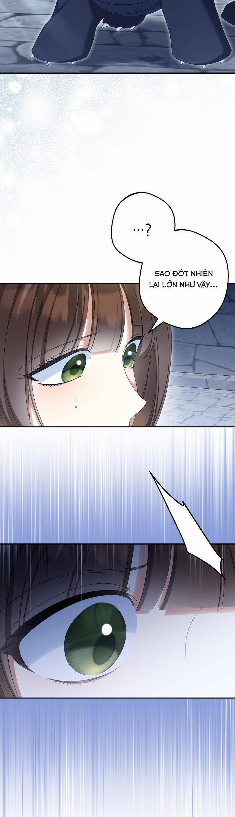 Sao Lại Ám Ảnh Cô Vợ Giả Mạo Quá Vậy? 70 trang 25