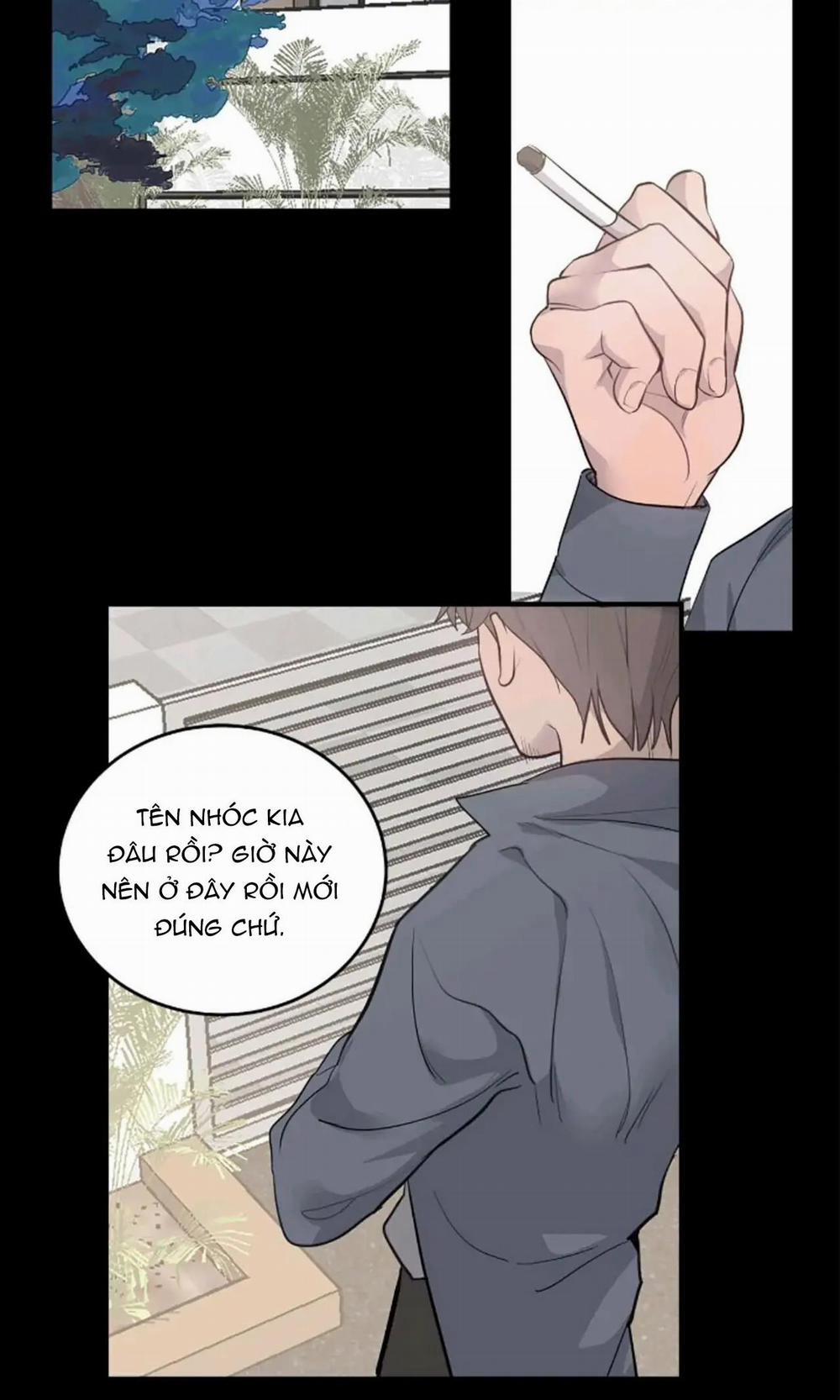 Sao NOTP Lại Thành Thật Rồi? 24 trang 46