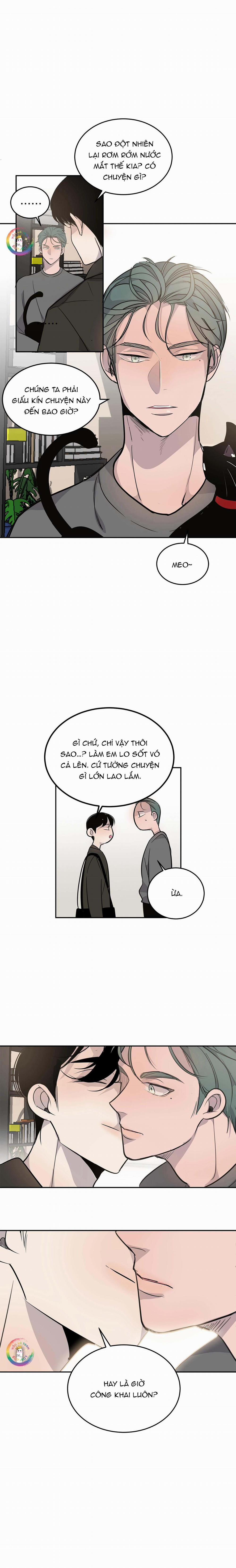 Sao NOTP Lại Thành Thật Rồi? 4 trang 7