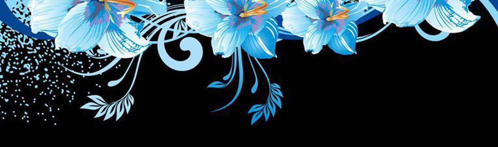 Saotome Girl, Hitakakusu 12 trang 2