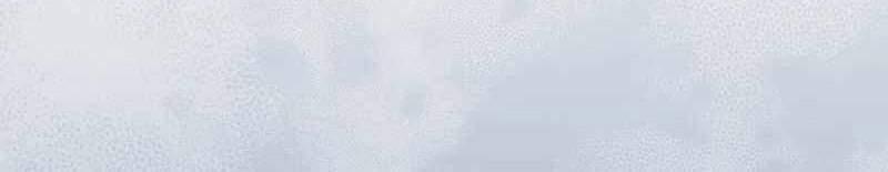 Sát Thủ Mạnh Nhất Chuyển Sinh Sang Thế Giới Khác 55 trang 390