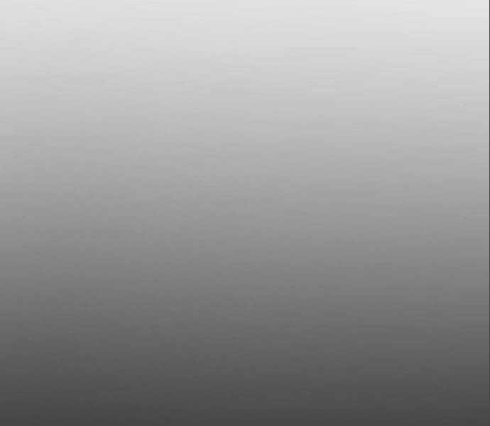 Sát Thủ Peter 19 trang 256