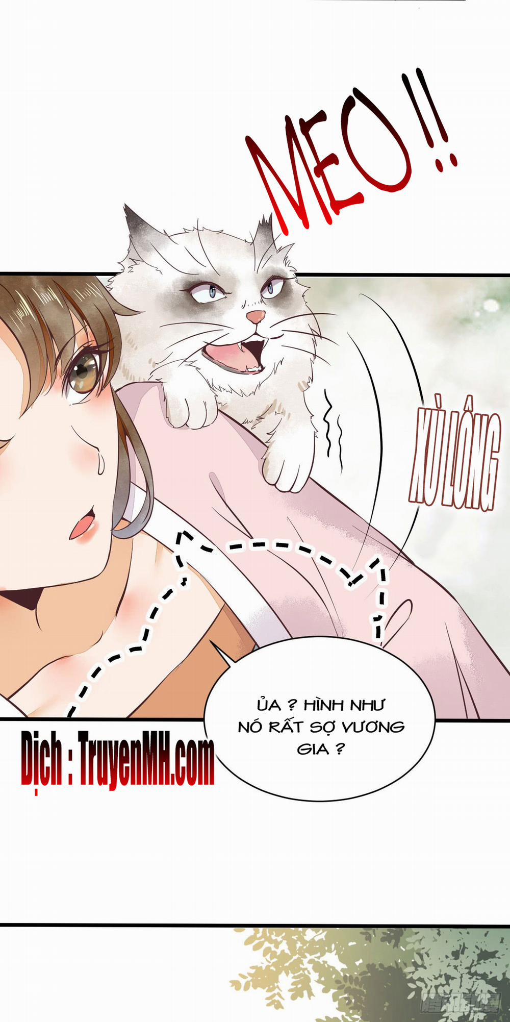 Sát Thủ Vương Phi Không Dễ Chọc 10 trang 5