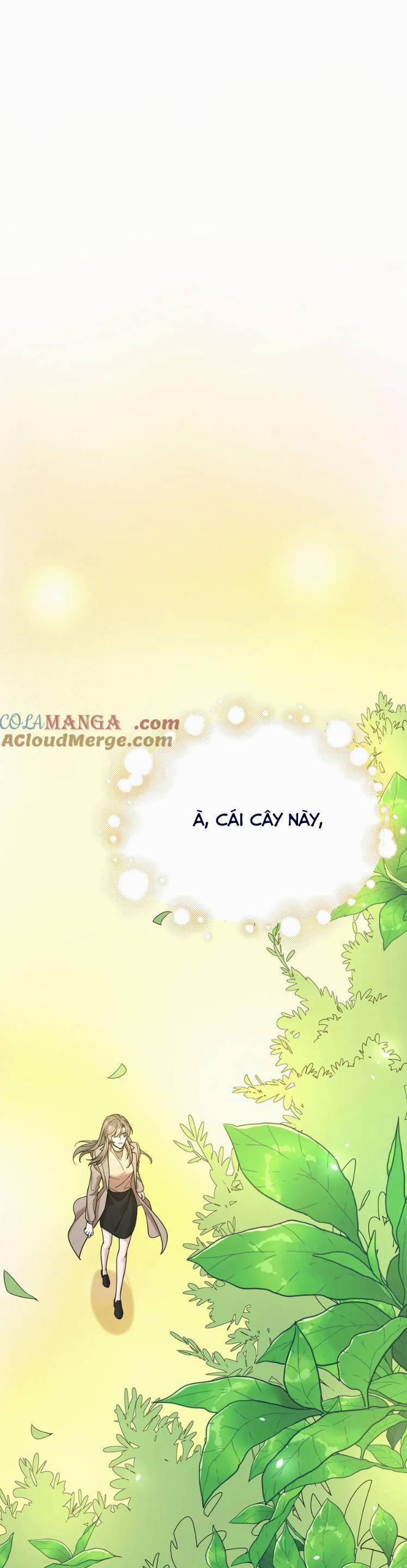 Sau Khi Chia Tay , Tôi Có Kết Đẹp Cùng Với Chú Nhỏ 72 trang 18