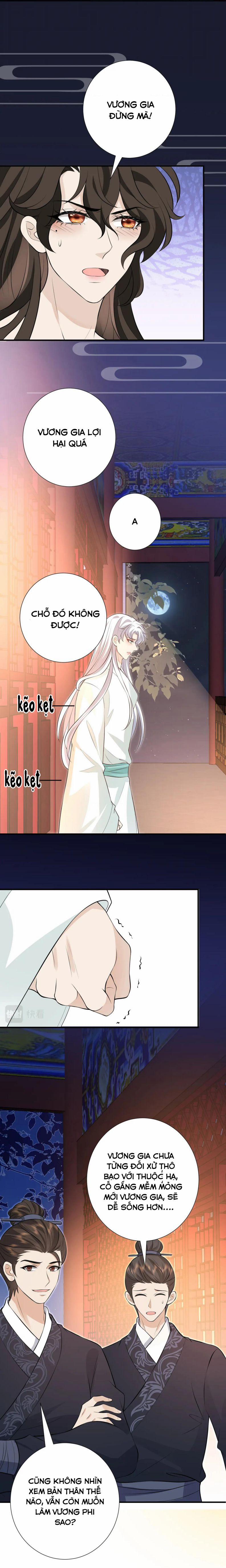 Sau Khi Ta Chết, Vương Gia Đau Không Thiết Sống 11 trang 11