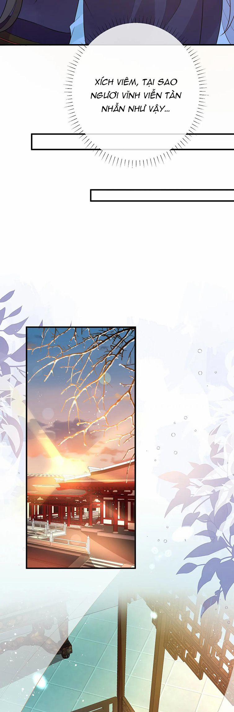 Sau Khi Ta Chết, Vương Gia Đau Không Thiết Sống 12 trang 6