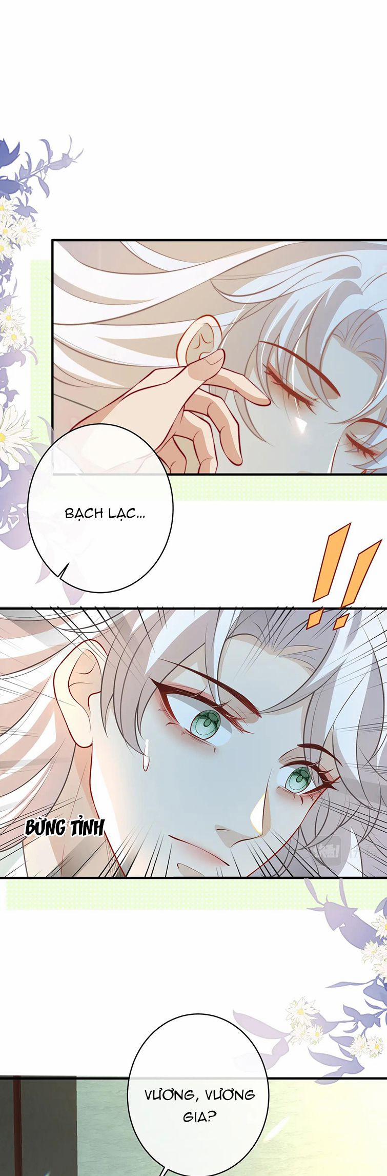 Sau Khi Ta Chết, Vương Gia Đau Không Thiết Sống 12 trang 8