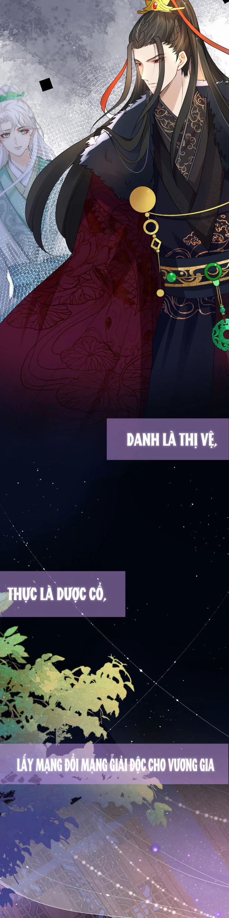 Sau Khi Ta Chết, Vương Gia Đau Không Thiết Sống Văn Án trang 2