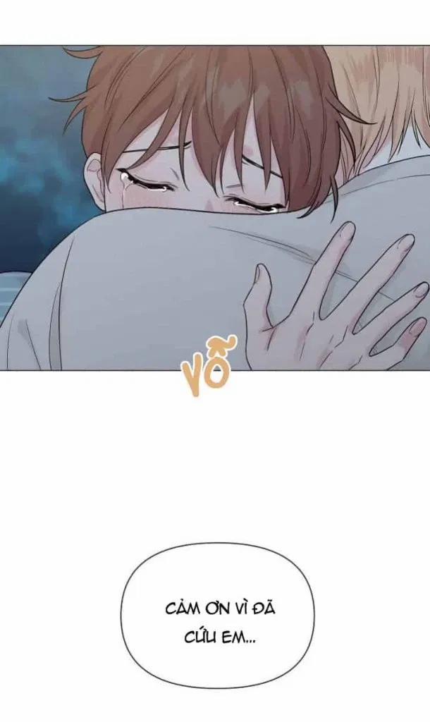 Sâu 15 trang 71