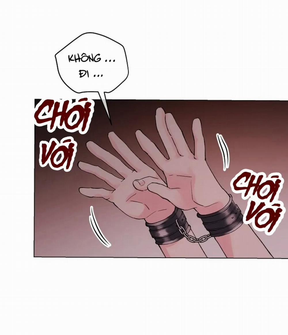 Sâu 50 trang 52