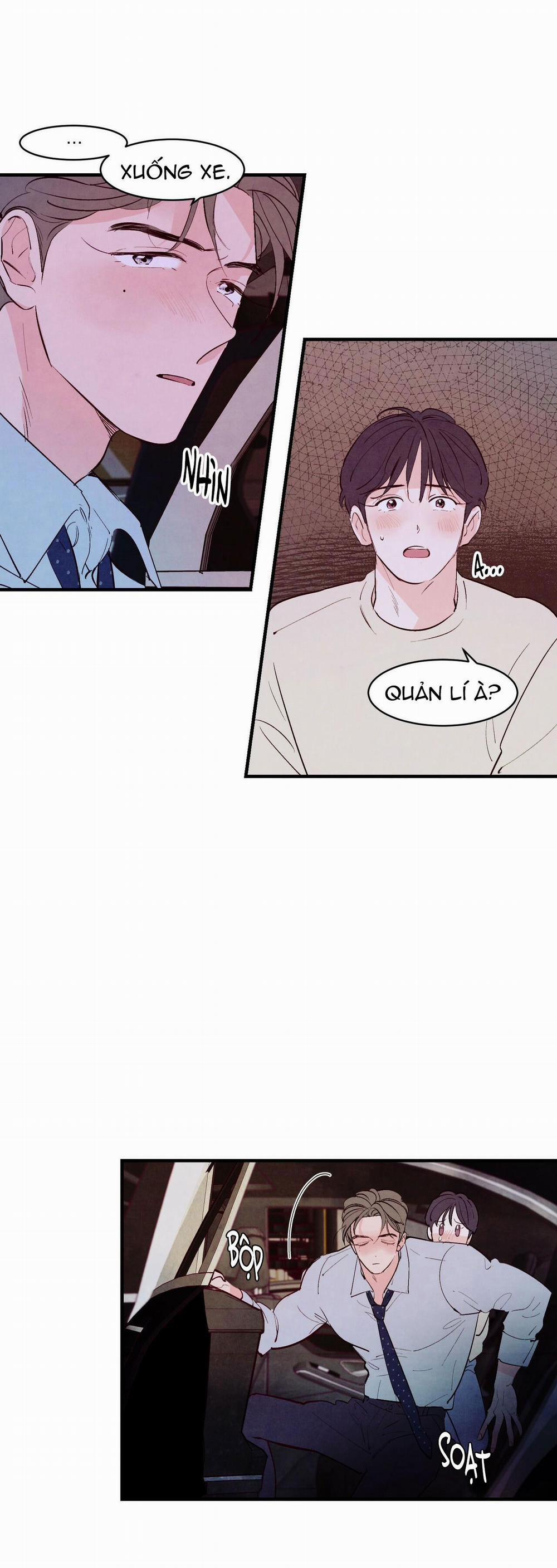 Say Tình 18 trang 17