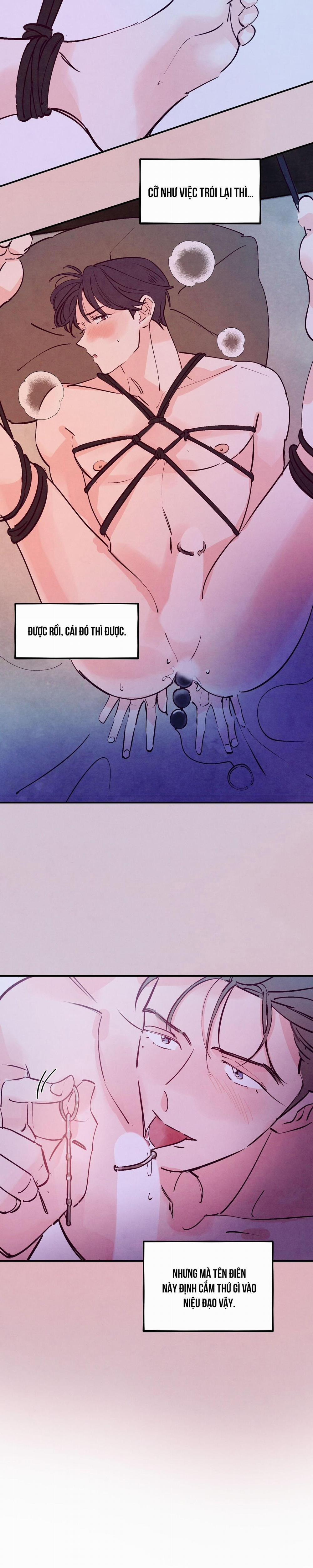 Say Tình 75 trang 5