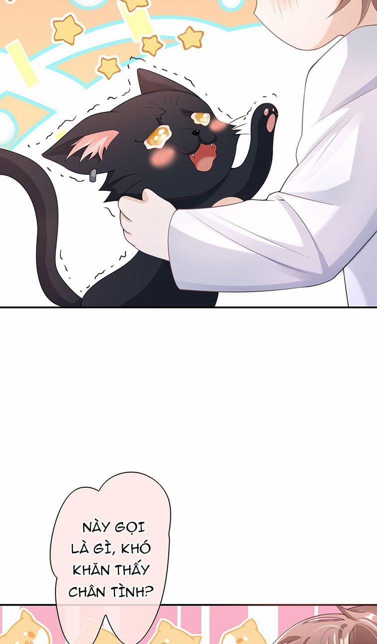 Scandal Quá Nhiều Là Lỗi Của Tôi Sao? 28 trang 29