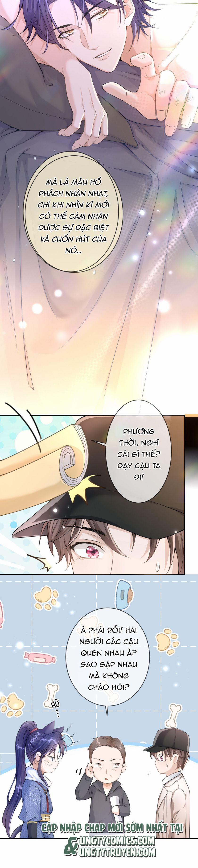 Scandal Quá Nhiều Là Lỗi Của Tôi Sao? 3 trang 11