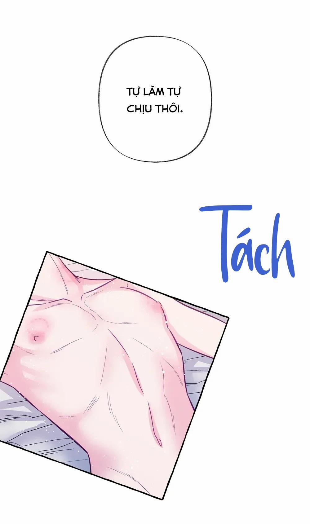 Sello 1 0 1 trang 13