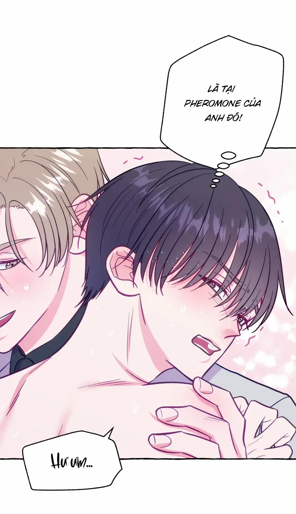 Sello 4 0 4 trang 15