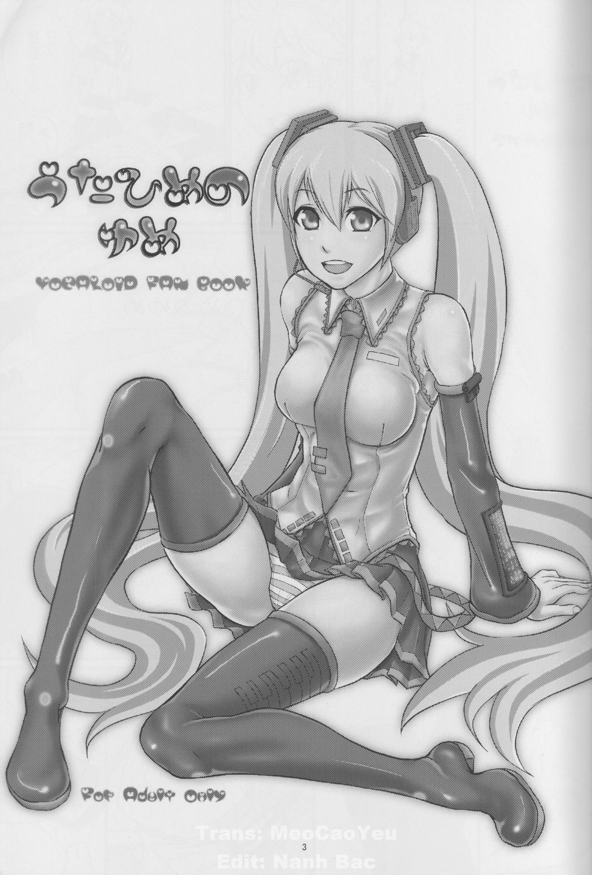 Seri Hatsune Miku 1 trang 3
