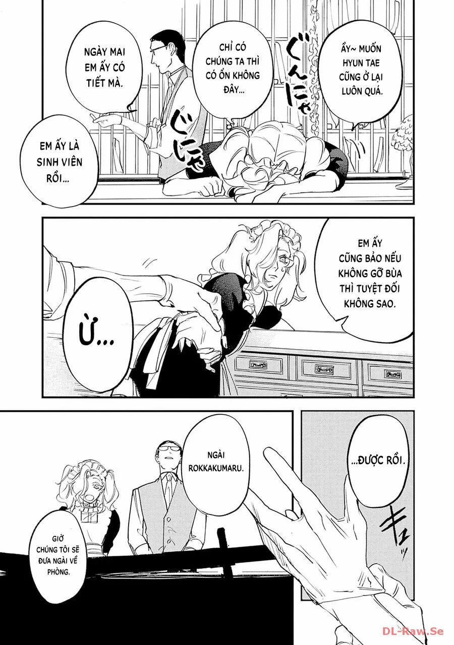 Shepherd House Hotel 10 trang 13