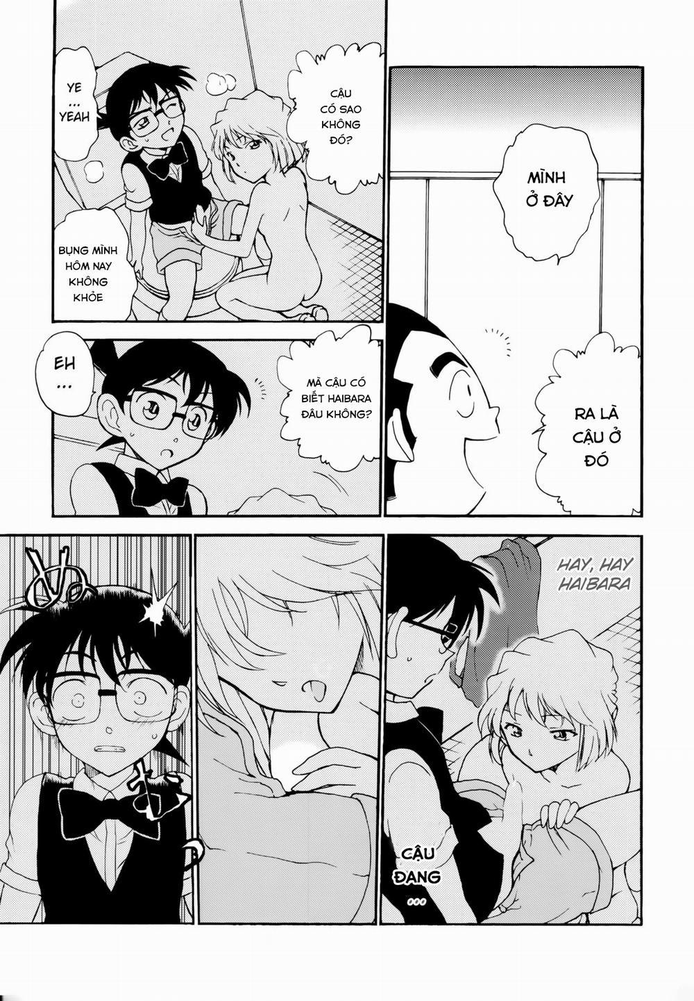 Sherry my love (Detective Conan) Chương Oneshot Trang 15