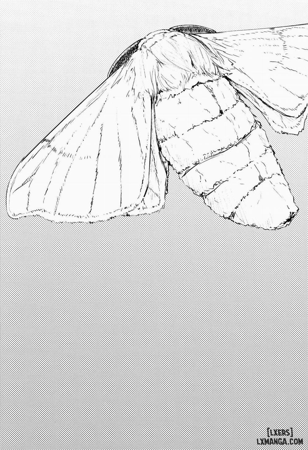 Shiragasane -Tamoto Oneshot trang 2