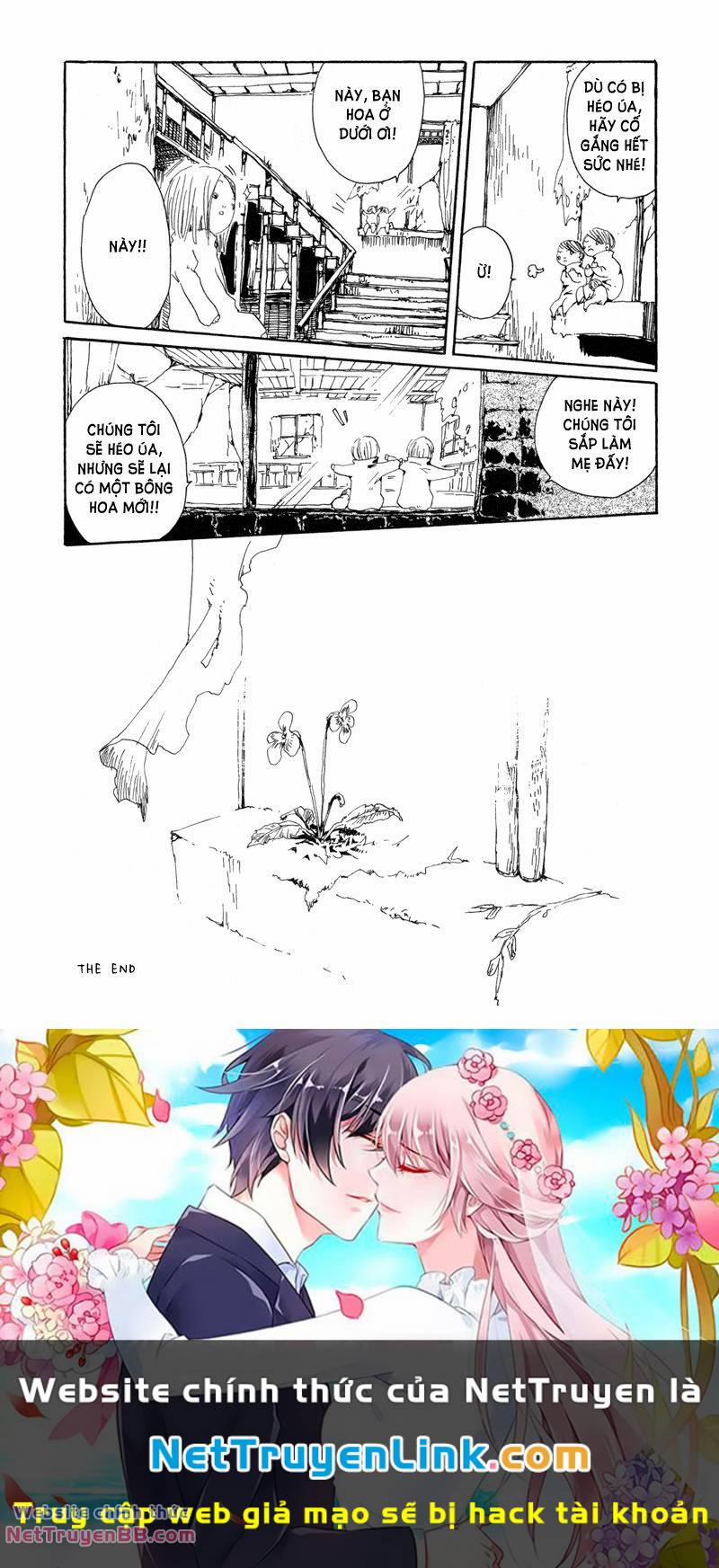 Shiroi Kumo 10 trang 8