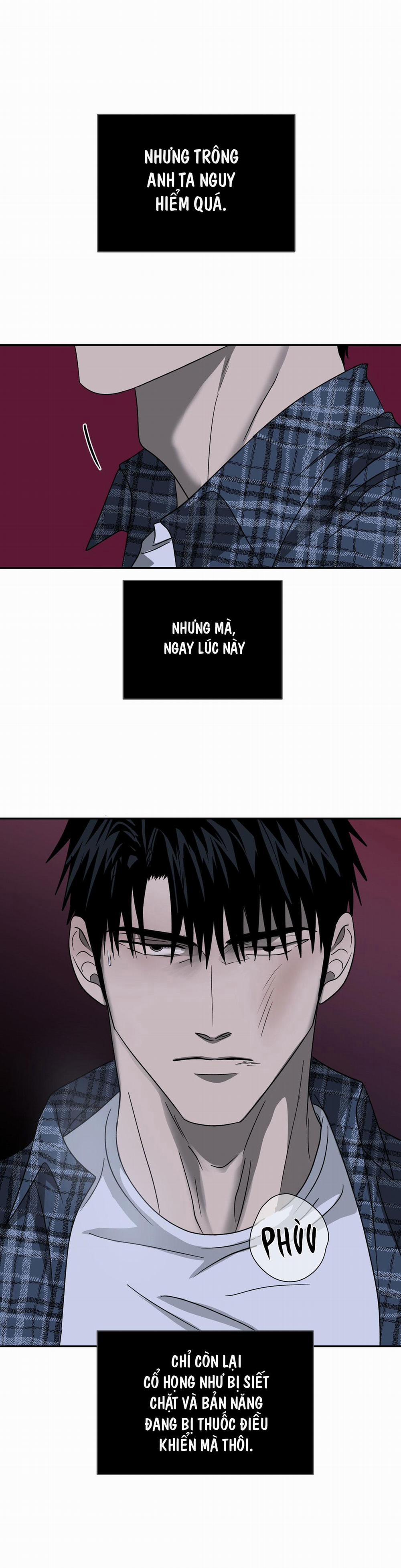 Shutline 17 trang 12